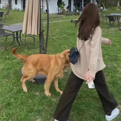 情人的归来